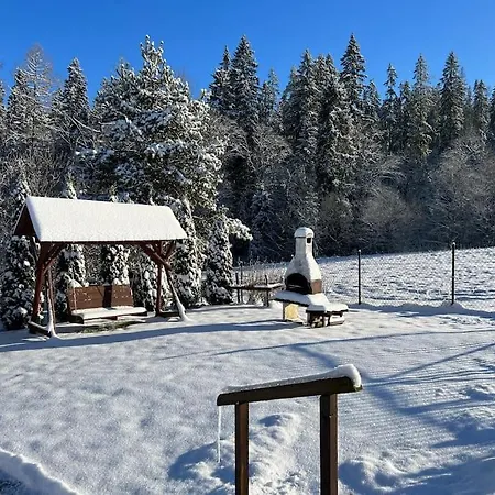 Lesny Zakatek 펜션 Łapsze Niżne